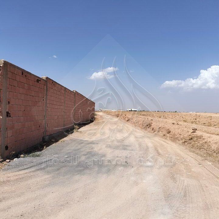 454655748_531317109232737_1928857309498098576_n